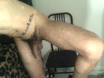 hungblackbull21 chaturbate